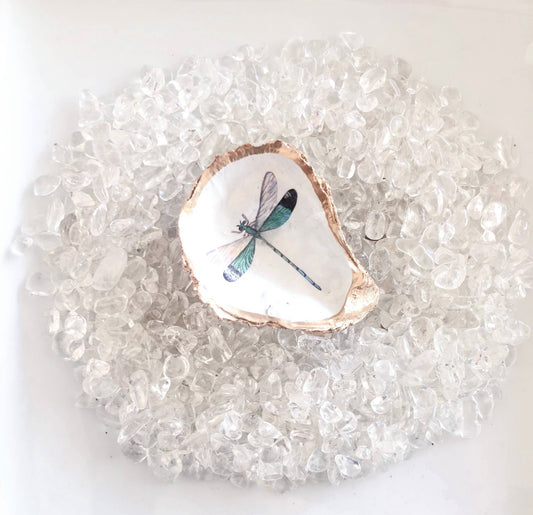 Oyster Jewelry Dish - Dragonfly - Selene + Sol